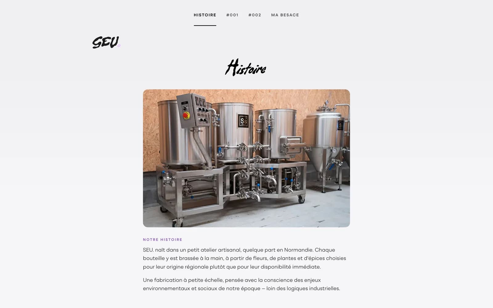 Page Histoire du site seubrew.com